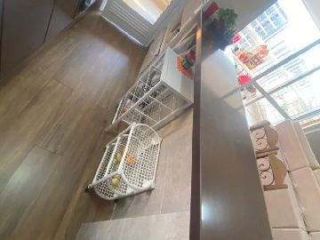 Agende sua visita, Amatti tel.19-97401.4097