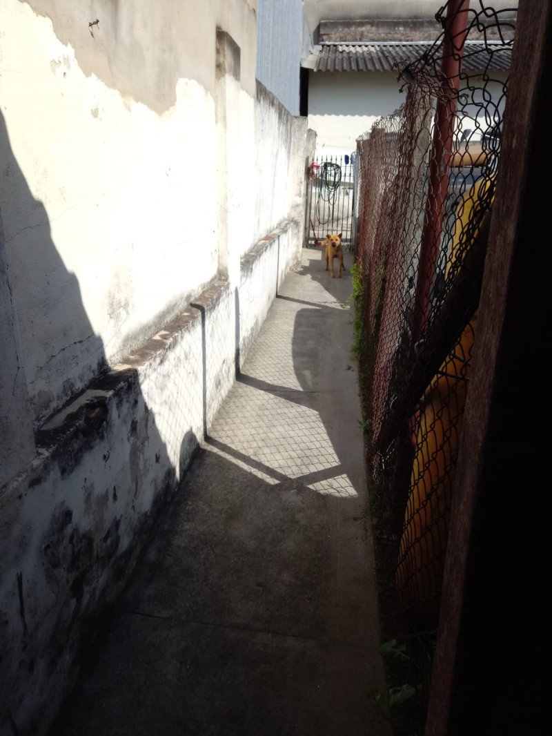 AGENDE SUA VISITA! F. 19.97401.4097