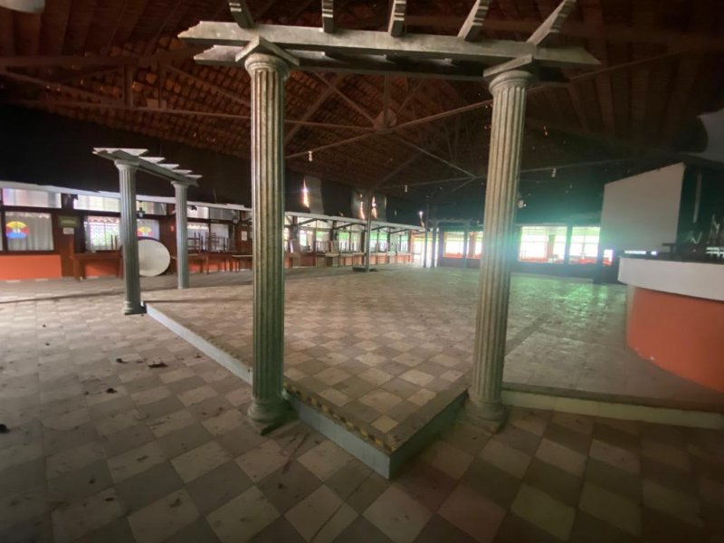 AGENDE SUA VISITA CONSULTOR AMATTI 19-97401-4097