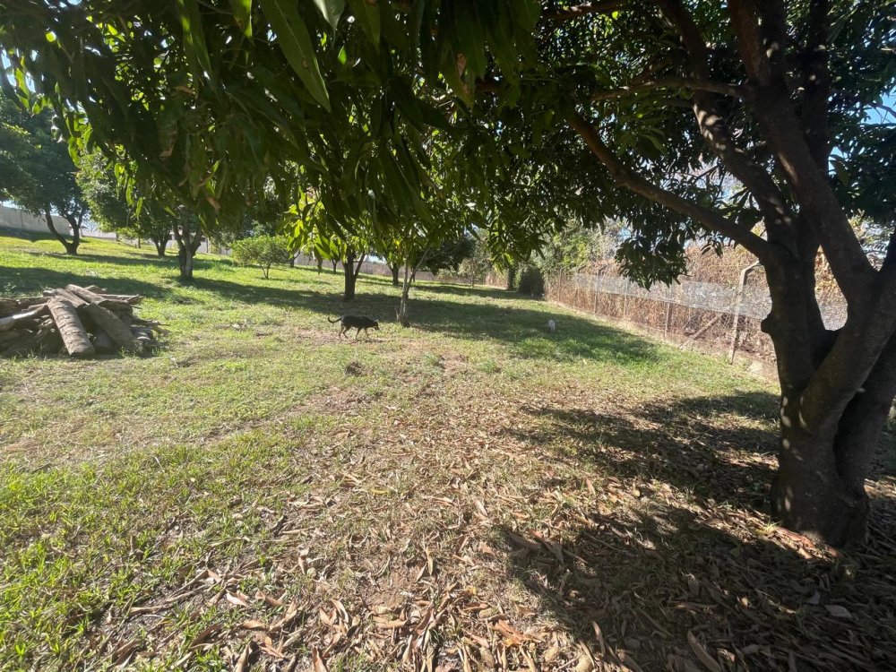 AGENDE UMA VISITA, AMATTI CORRETOR, TEL. 19-97401.4097