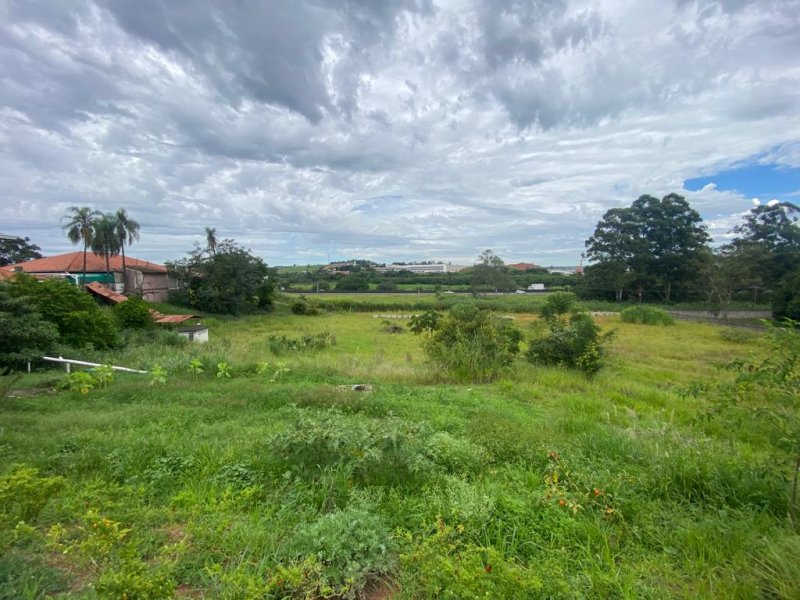 AGENDE SUA VISITA CONSULTOR AMATTI 19-97401-4097