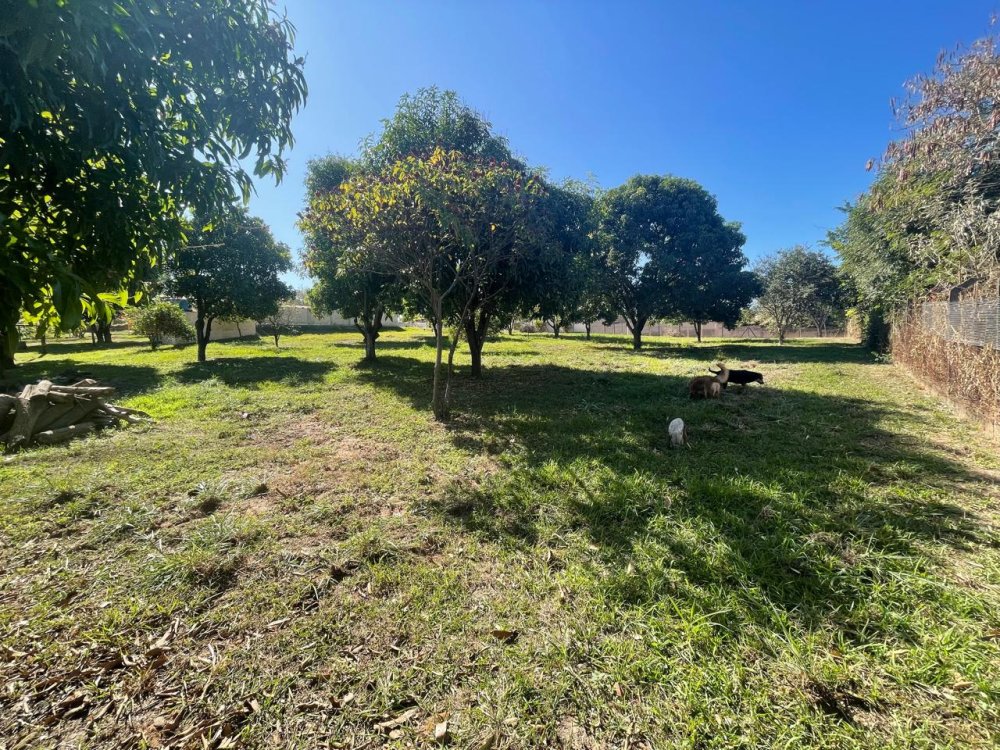 AGENDE UMA VISITA, AMATTI CORRETOR, TEL. 19-97401.4097